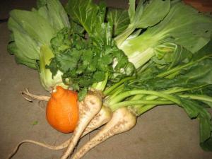 A few items from our weekly CSA delivery A few items from our weekly CSA delivery