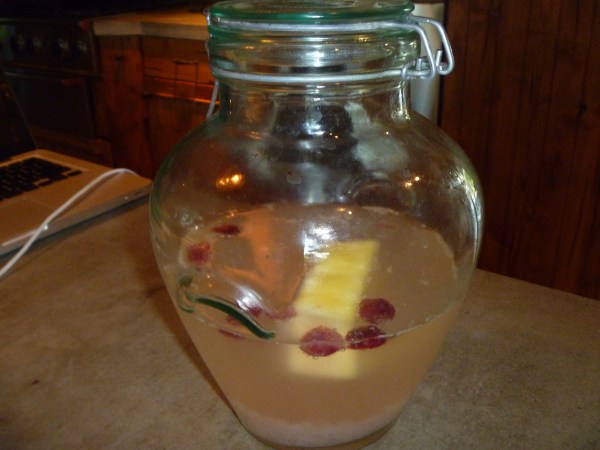 Water Kefir after 48 Hours