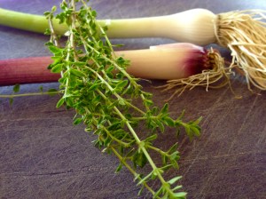 Green garlic, shallot and thyme - all local