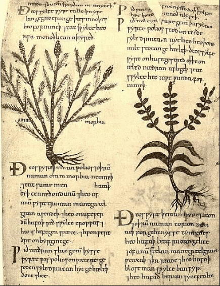 Found in the 10th century Lacnunga Manuscript