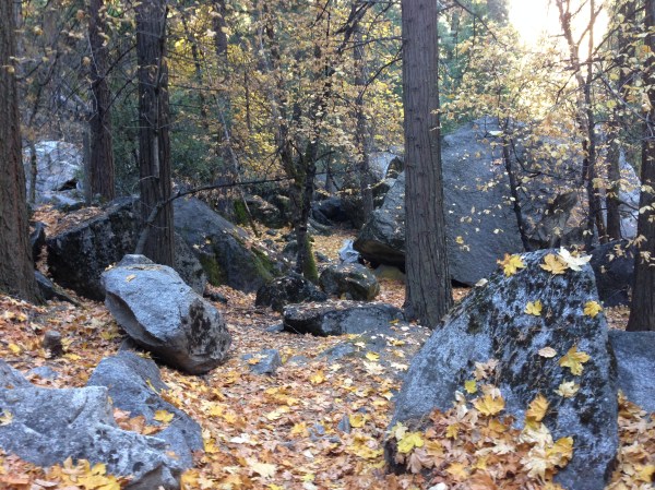 Yosemite in November
